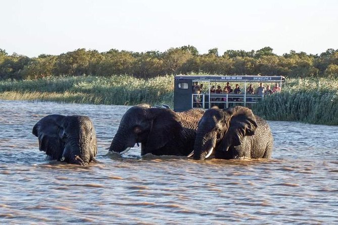 Shoreline Hippo and Crocodile Boat Cruises, iSimangaliso Wetland Park - How this works for families and different interests