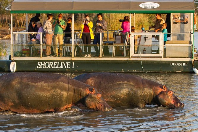 Shoreline Hippo and Crocodile Boat Cruises, iSimangaliso Wetland Park - The two-hour route along the estuary