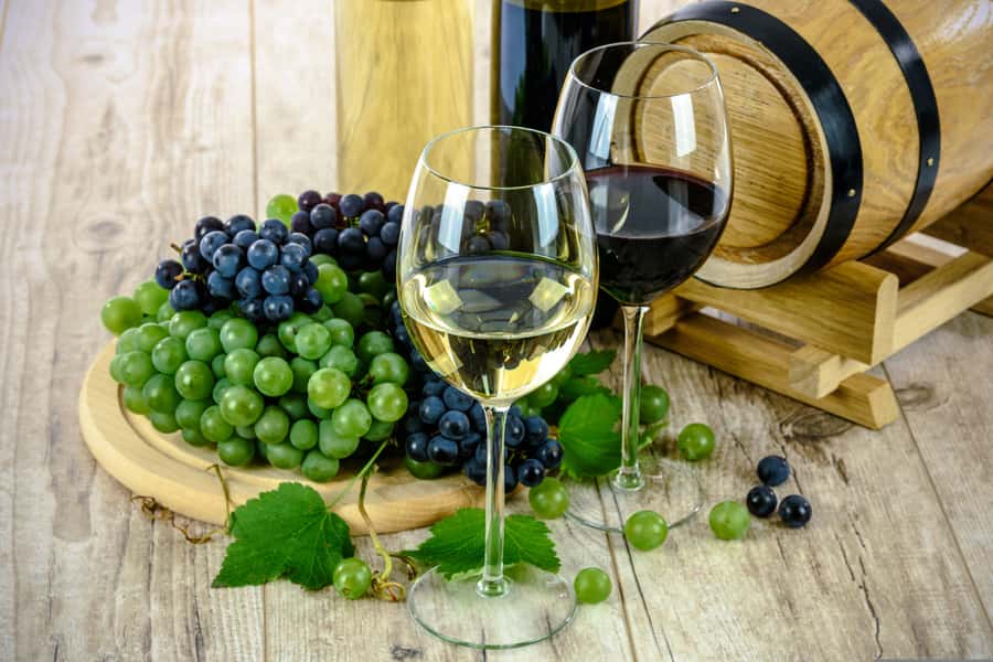 Sip & Savor : A Perfect Half-day Wine Escape to Stellenbosch - From Cape Town to the Winelands