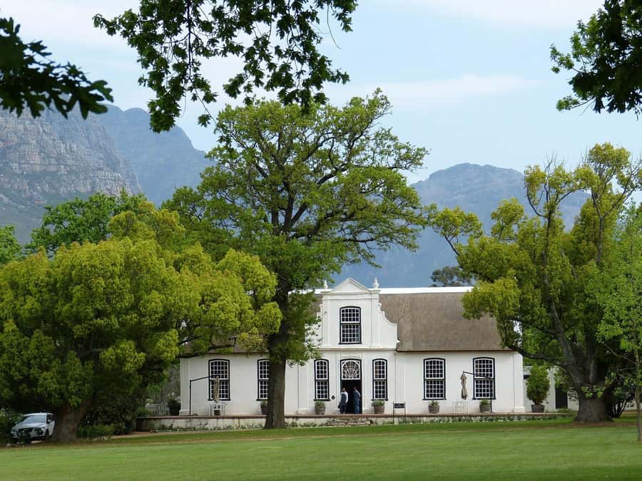Sip & Savor : A Perfect Half-day Wine Escape to Stellenbosch - Lunch is flexible, but not included