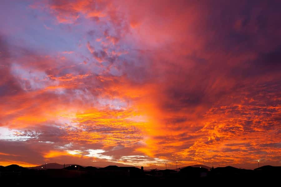 Sip & Savor : A Perfect Half-day Wine Escape to Stellenbosch - What the $53 price really covers