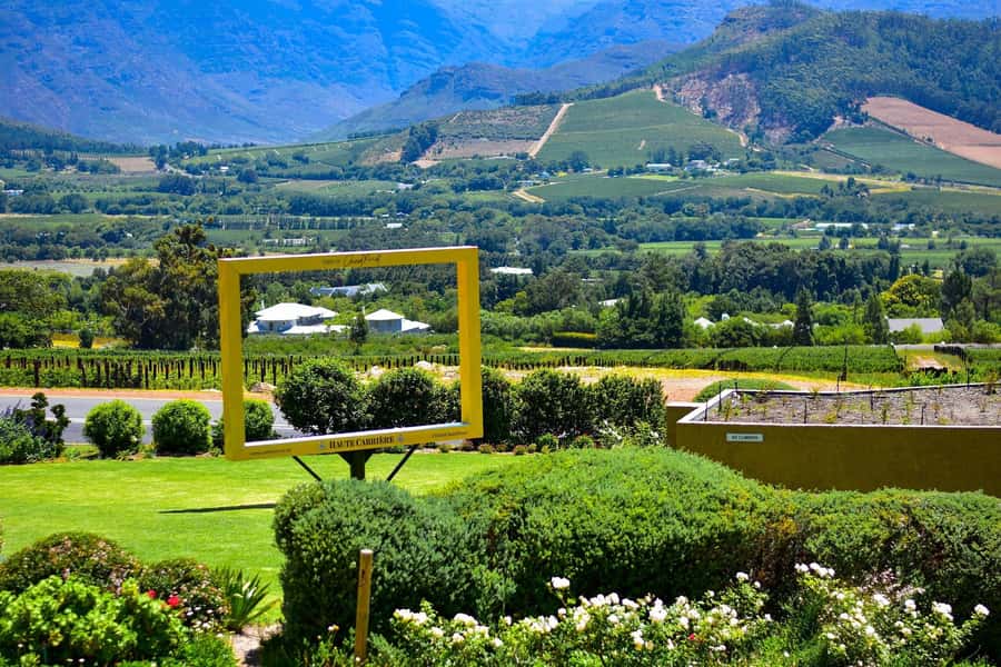 Sip & Savor : A Perfect Half-day Wine Escape to Stellenbosch - Timing, weather, and comfort
