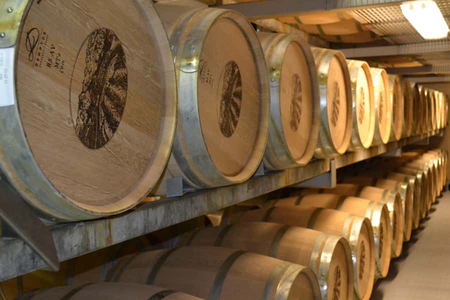 Sip & Savor : A Perfect Half-day Wine Escape to Stellenbosch - Marianne Wine Estate and the biltong pairing