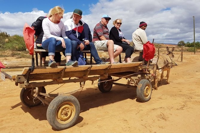Skip the Line: Highgate Ostrich Farm Tour Ticket - The ostrich derby makes a clear finish