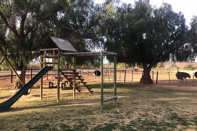 Skip the Line: Highgate Ostrich Farm Tour Ticket - What to wear and what to expect on arrival