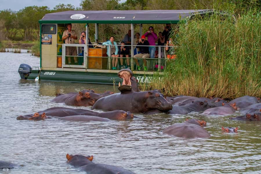 St Lucia: Hippo and Crocodile Cruise on a 15-Seat Vessel - Why Lake St Lucia is made for a wildlife cruise