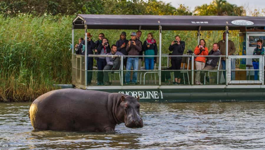 St Lucia: Hippo and Crocodile Cruise on a 15-Seat Vessel - Boarding at Siyabonga Jetty