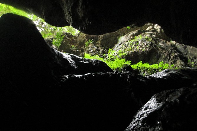 Standard Canyoning Trip in The Crags, South Africa - The first cliff jump or guided rappel