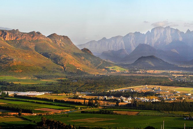 Stellenbosch, Franschhoek and Paarl Winelands Full Day Trip from Cape Town - Paarl: cellar tour, wine, and a strong opening
