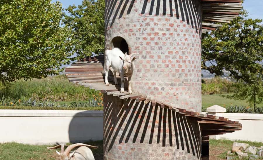 Stellenbosch: Half-Day Wine Tour - Should you book this Stellenbosch wine tour?