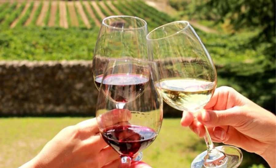 Stellenbosch: Half-Day Wine Tour - Leaving Cape Town for the Cape Winelands