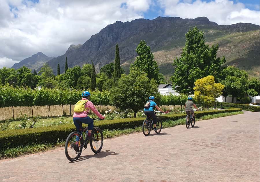 Stellenbosch: Historical Bike Tour & Wine Tasting - Regular bike or e-bike?
