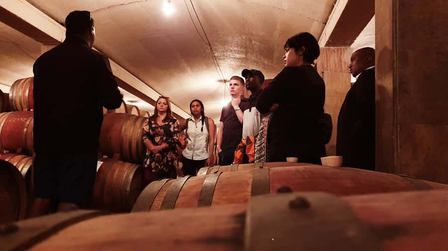 Stellenbosch: Historical Bike Tour & Wine Tasting - Starting in Stellenbosch town
