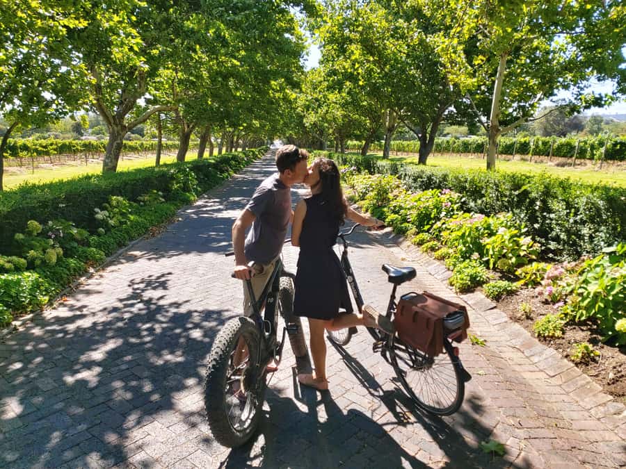 Stellenbosch: Wine Farm E-Bike Guided Tour - First farm stop, with 30 minutes for wine and shopping