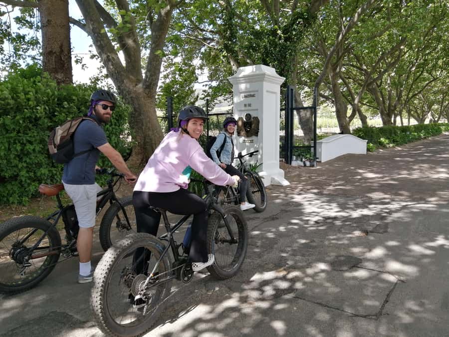 Stellenbosch: Wine Farm E-Bike Guided Tour - Cycling into the Jonkershoek Valley