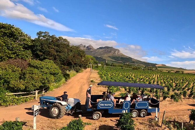 Stellenbosch Wine Tractor hop-on-hop off wine tasting tour - Why the wine tractor is the point of the tour
