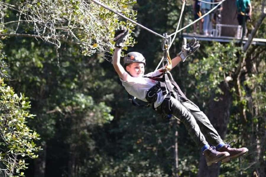 Storms River: Tsitsikamma National Park Zipline Canopy Tour - Key points at a glance