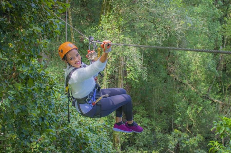 Storms River: Tsitsikamma National Park Zipline Canopy Tour - The first slide is the hardest