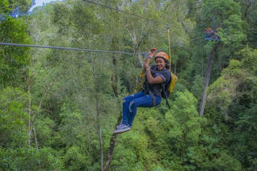 Storms River: Tsitsikamma National Park Zipline Canopy Tour - The 600-meter walk after the final line