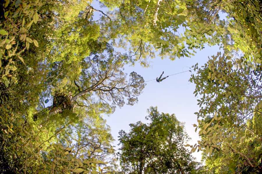 Storms River: Tsitsikamma National Park Zipline Canopy Tour - How the group size changes the experience