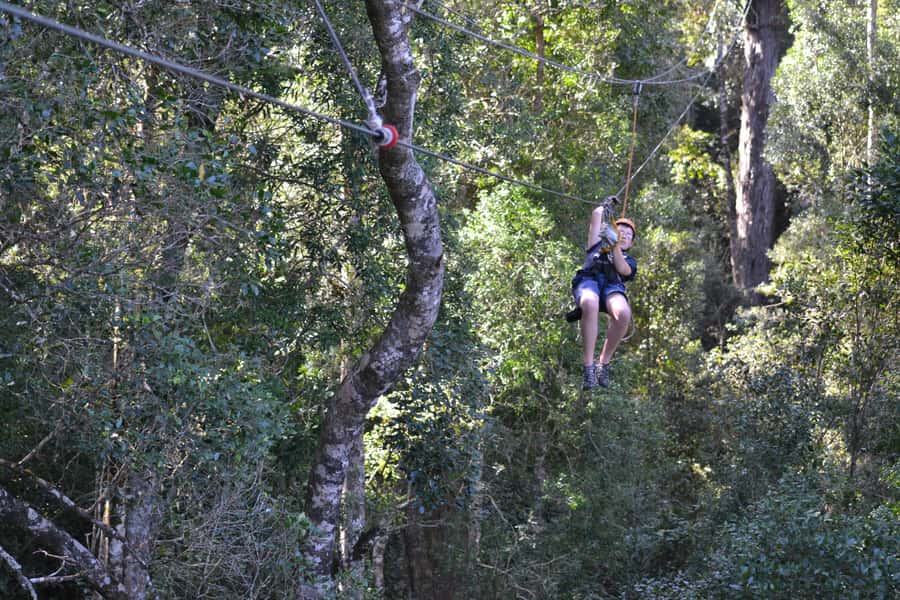 Storms River: Tsitsikamma National Park Zipline Canopy Tour - Photos, weather, and what to bring