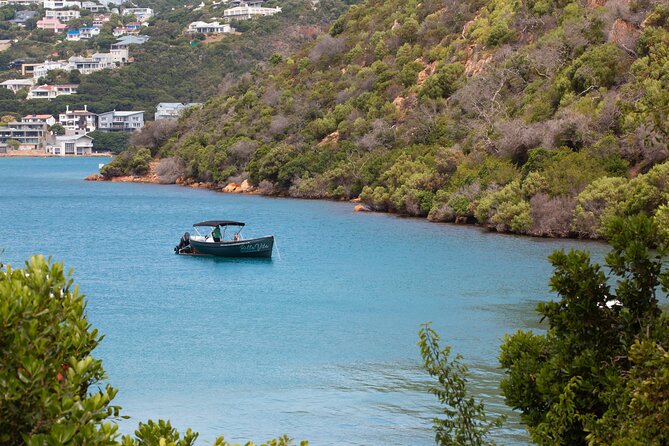 Sunset Boat Cruise on Bella Vita Champagne Lounger - Who will enjoy this cruise most