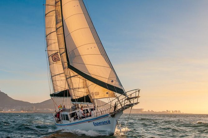 Sunset Champagne Cruise from Cape Town - Friendly crew, music, and the mood onboard