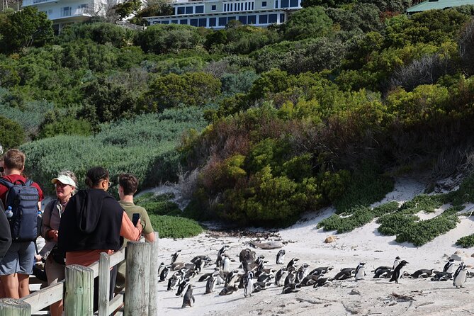 Supersaver: Cape of Good Hope and Cape Point Day Tour from Cape Town - Boyes Drive and Muizenberg’s surf coast