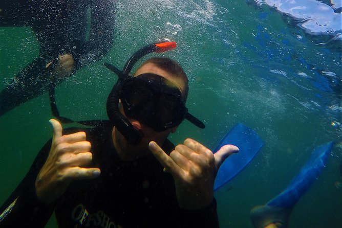 Swim with Seals - The guides make a big difference