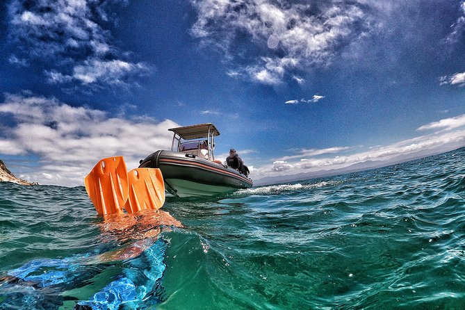 Swim with Seals - The water, equipment, and beginner factor
