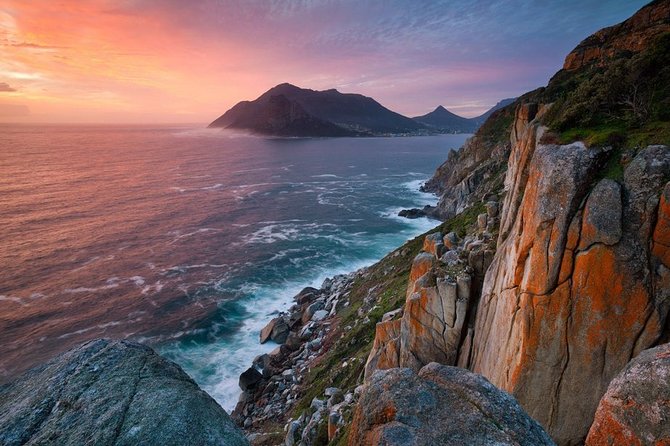 Table Mountain, Boulders Penguins & Cape point Private Day Tour - Cape Point Ostrich Farm: a brief, unusual stop
