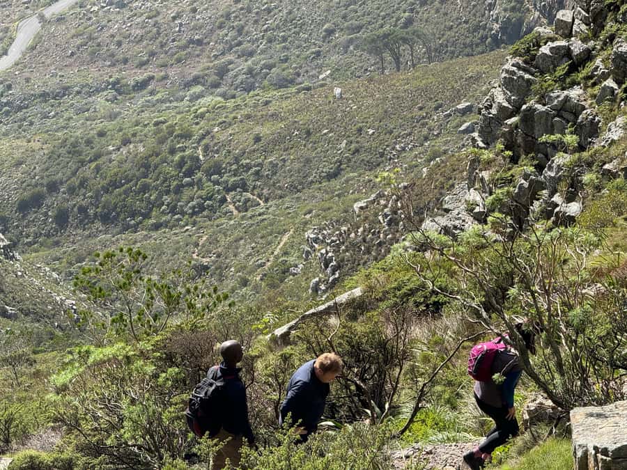 Table Mountain Group Hike - Solo Travelers welcome - Key points at a glance
