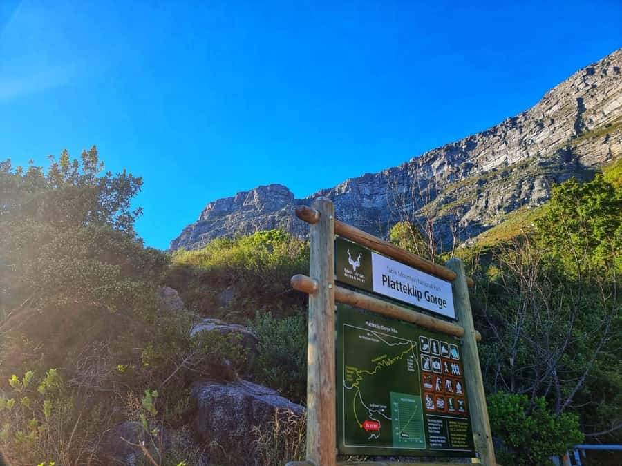 Table Mountain Group Hike - Solo Travelers welcome - Starting on Tafelberg Road