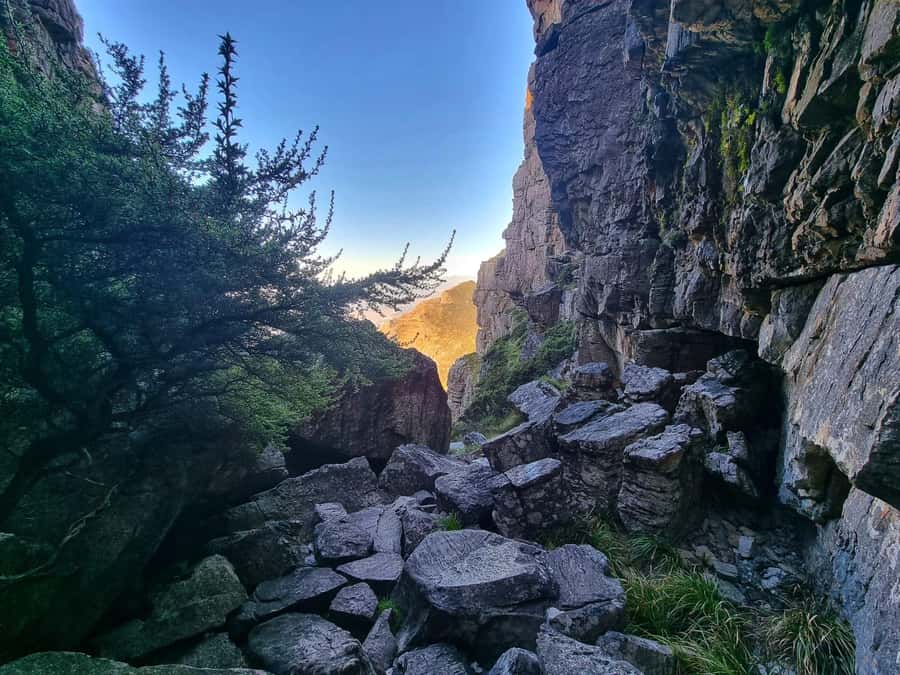Table Mountain Group Hike - Solo Travelers welcome - Who should book this hike?
