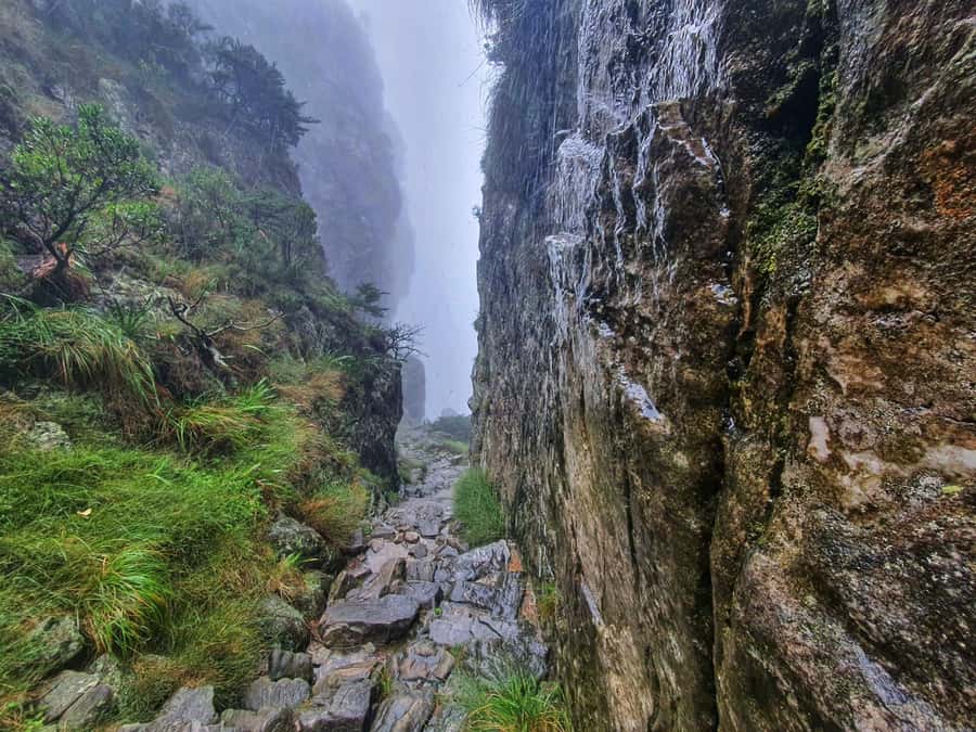 Table Mountain Group Hike - Solo Travelers welcome - Should you book the Platteklip Gorge group hike?