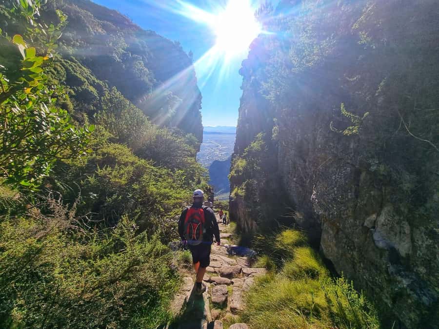 Table Mountain Group Hike - Solo Travelers welcome - Climbing Platteklip Gorge step by step