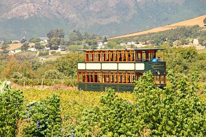 Taste + Tram the Winelands Tour: Franschhoek, Stellenbosch, Paarl - What $189.79 gets you
