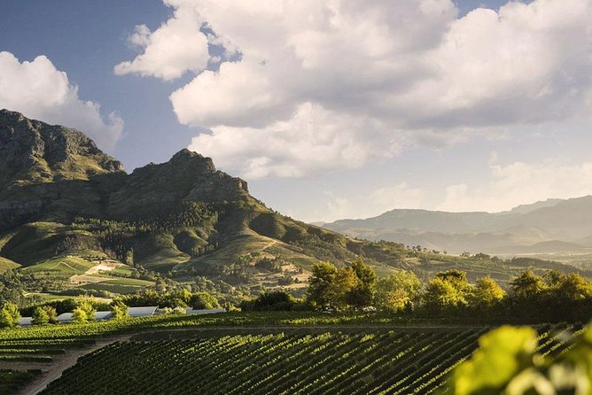 Taste + Tram the Winelands Tour: Franschhoek, Stellenbosch, Paarl - Franschhoek gives you one hour to eat and wander