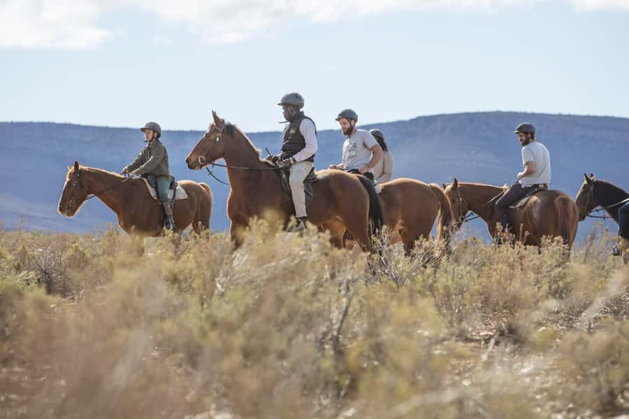 The Best Private Cape Town Safari Day Trip - Aquila Big 5 - Why Aquila makes sense from Cape Town
