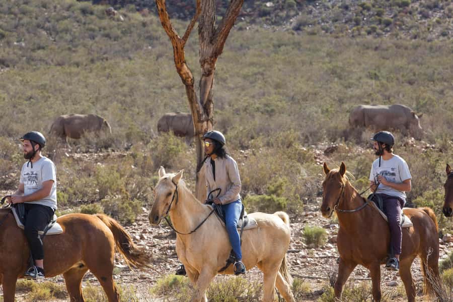 The Best Private Cape Town Safari Day Trip - Aquila Big 5 - Leaving Cape Town in a private vehicle