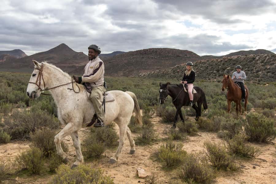 The Best Private Cape Town Safari Day Trip - Aquila Big 5 - Lunch, free time, and the afternoon departure