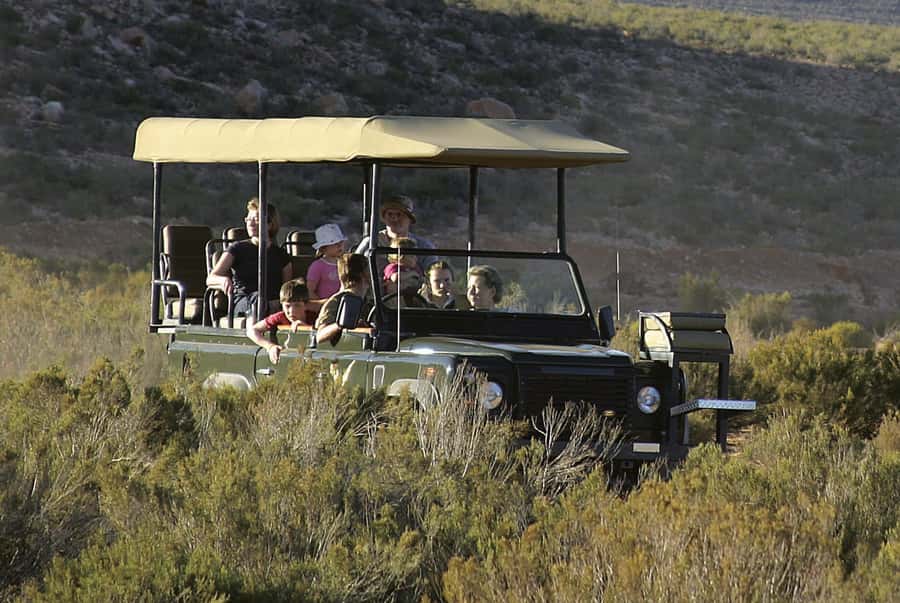 The Best Private Cape Town Safari Day Trip - Aquila Big 5 - Should you book the Aquila day trip?