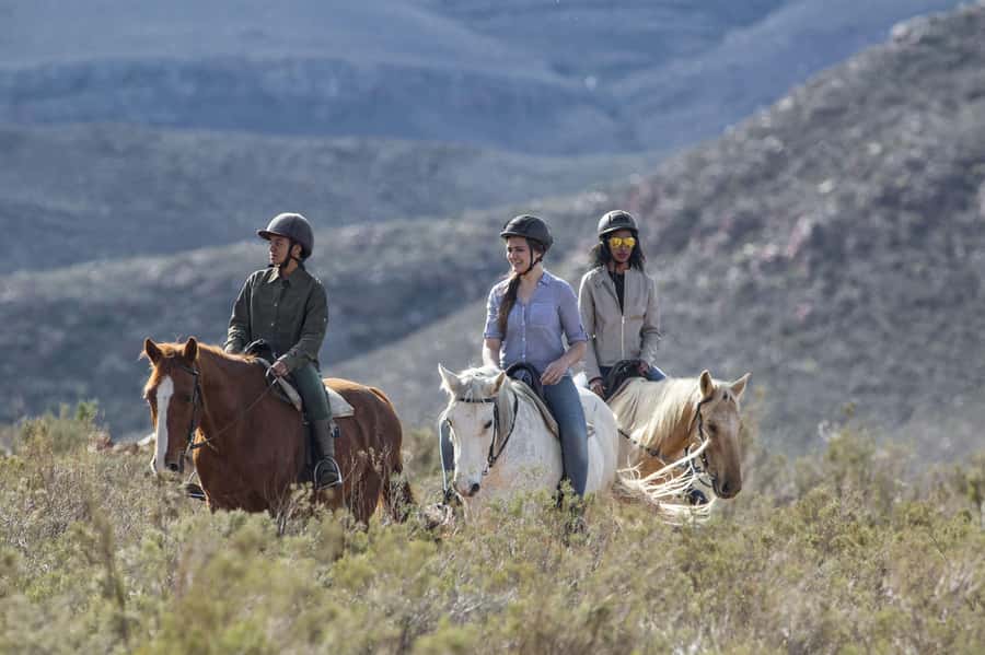 The Best Private Cape Town Safari Day Trip - Aquila Big 5 - Arrival, welcome drinks, and the first meal