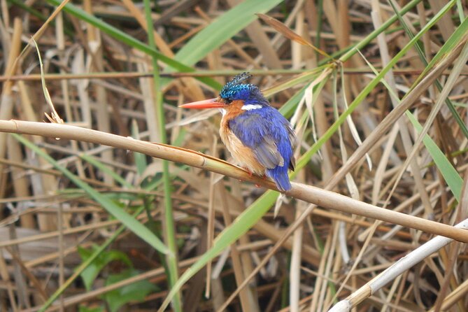 Touw River Boat Cruise - Wilderness National Park - The quietest moment may be the best one