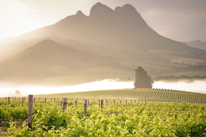Vine Hopper: Hop-On Hop-Off Wine Tour - Northern Route - Key points to know before booking
