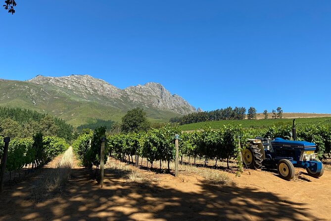 Vine Hopper: Hop-On Hop-Off Wine Tour - Northern Route - A practical look at the Northern Route