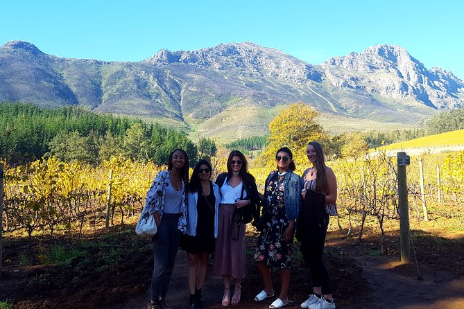 Vine Hopper: Hop-On Hop-Off Wine Tour - Northern Route - Simonsig and a good first tasting