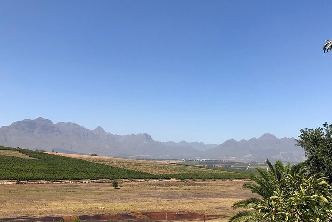 Vine Hopper: Hop-On Hop-Off Wine Tour - Northern Route - Warwick and the value of choosing fewer wineries