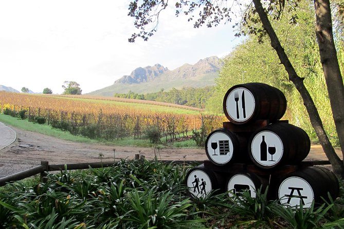 Vine Hopper: Hop-On Hop-Off Wine Tour - Southern Route - Peter Falke Winery and the pleasure of choosing less