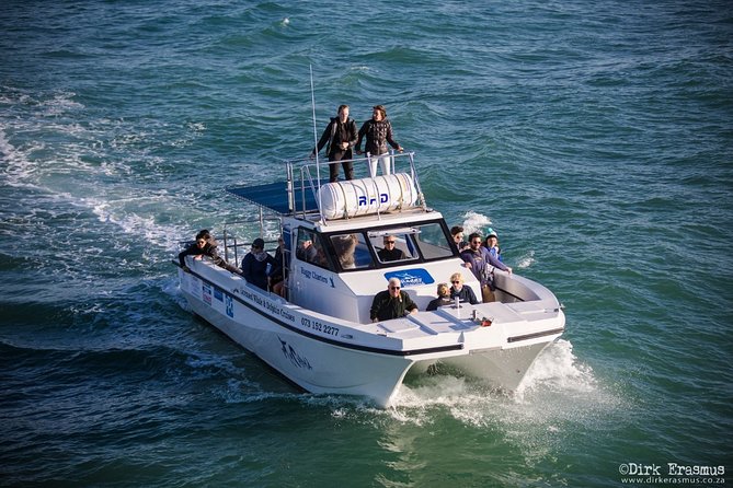 Whale, Dolphin & Penguin Island Cruise - Is $185.19 good value?